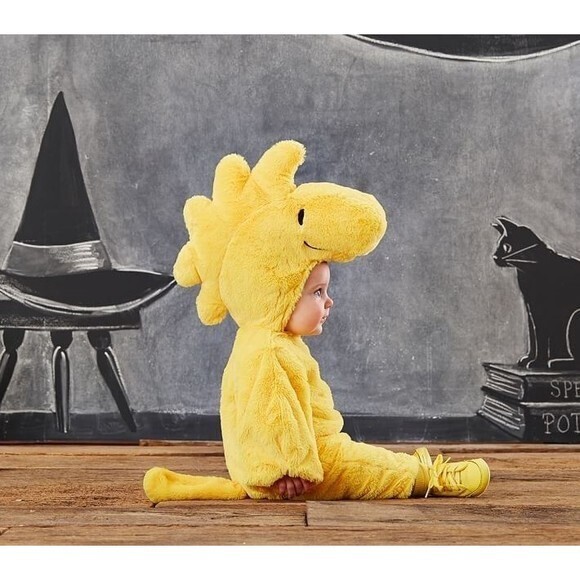 Pottery Barn Kids Yellow Dinosaur Costume - Picture 1 of 9